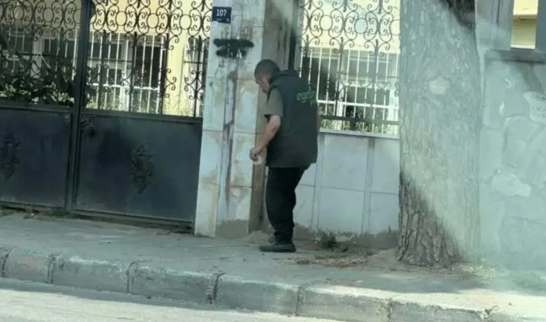 Aydın’ın Nazilli ilçesinde geçtiğimiz günlerde boş bir arazide bulunan ve