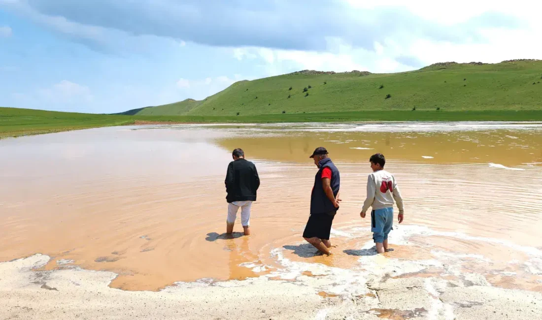 Bitlis’in Ahlat ilçesinde iki gündür aralıksız süren sağanak yağışlar sonrasında