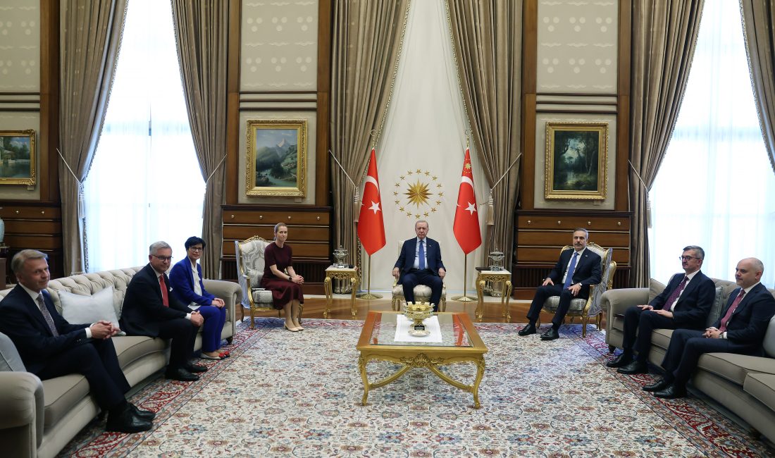 Cumhurbaşkanı Recep Tayyip Erdoğan, AB Dış İlişkiler ve Güvenlik Politikası
