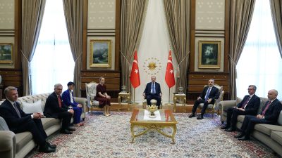 Cumhurbaşkanı Recep Tayyip Erdoğan, AB Dış İlişkiler ve Güvenlik Politikası
