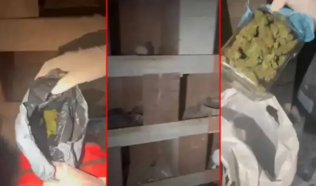 İstanbul Kağıthane’de güvercin beslenen bir kümese düzenlenen uyuşturucu operasyonu, benzeri