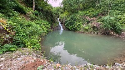 Artvin’in Arhavi ilçesinde sıcak havadan bunalarak serinlemek amacıyla gölete giren