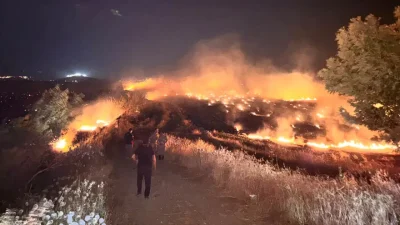 Hatay’ın Kırıkhan ilçesinde anız yakılmasıyla başlayan ve rüzgarın etkisiyle hızla