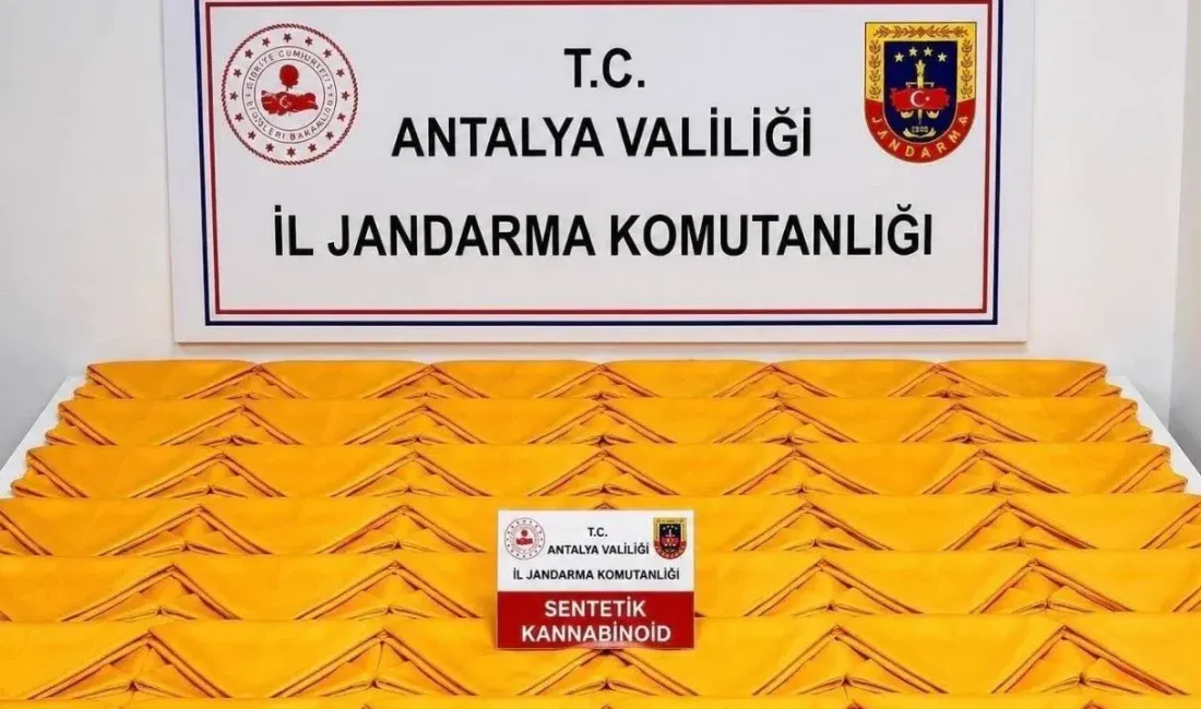 Antalya’nın Alanya ilçesinde jandarma ekiplerinin gerçekleştirdiği nefes kesen operasyonda, bir