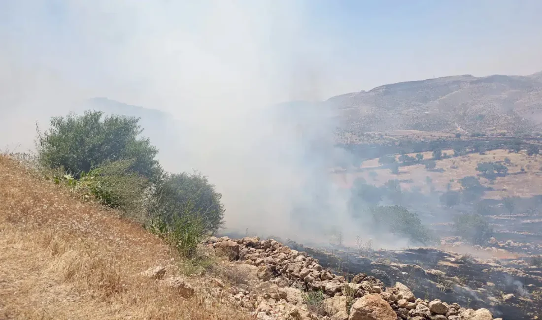 Mardin’in Yeşilli ilçesinde ormanlık alanda başlayan yangın rüzgarın etkisiyle hızla