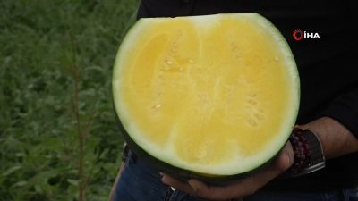 Adana’da üç yıllık titiz bir Ar-Ge çalışmasının ardından toprakla buluşan