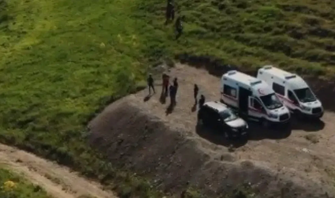 Tunceli’de mantar toplamak amacıyla araziye çıkan vatandaşlar, vahşi bir ayının
