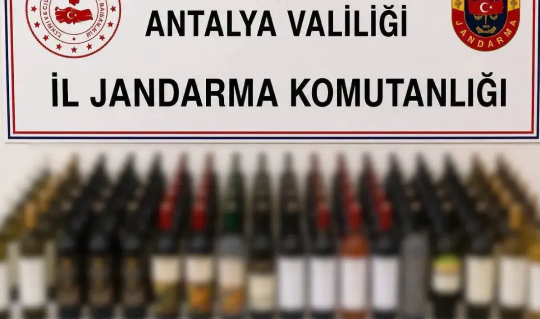 Antalya’nın Alanya ilçesinde jandarma ekipleri tarafından gerçekleştirilen kaçakçılık operasyonunda çok