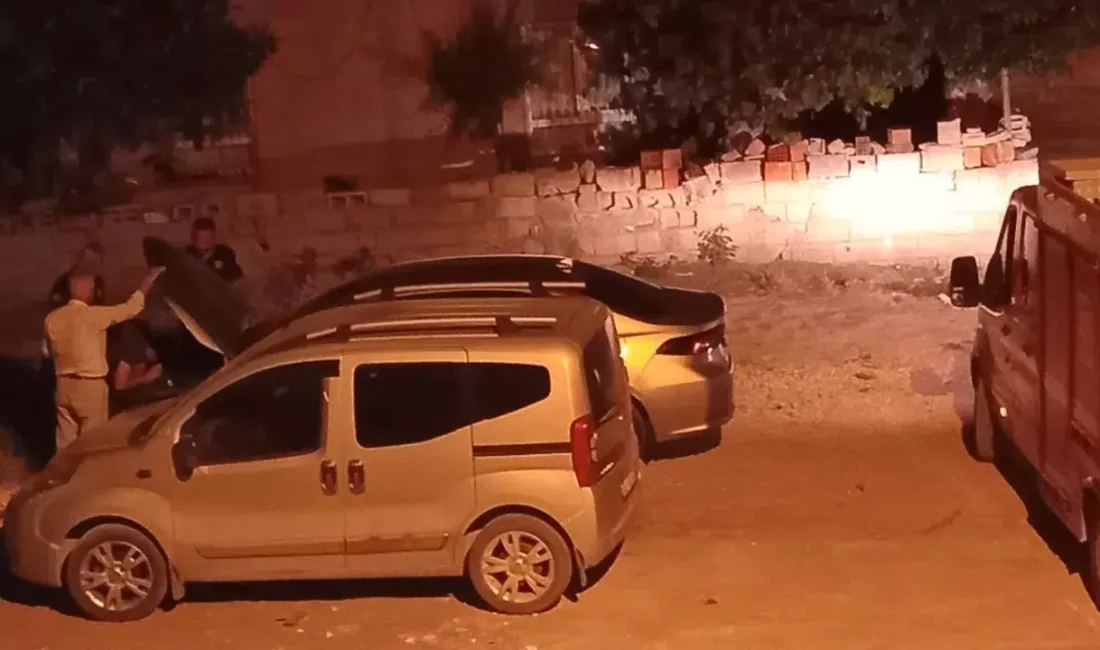 Adıyaman’da park halindeki bir otomobilin motor kısmından gelen sesler üzerine
