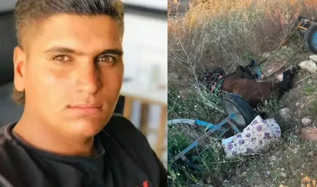 Şanlıurfa’nın Halfeti ilçesinde meydana gelen feci kazada, minibüsün çarptığı at