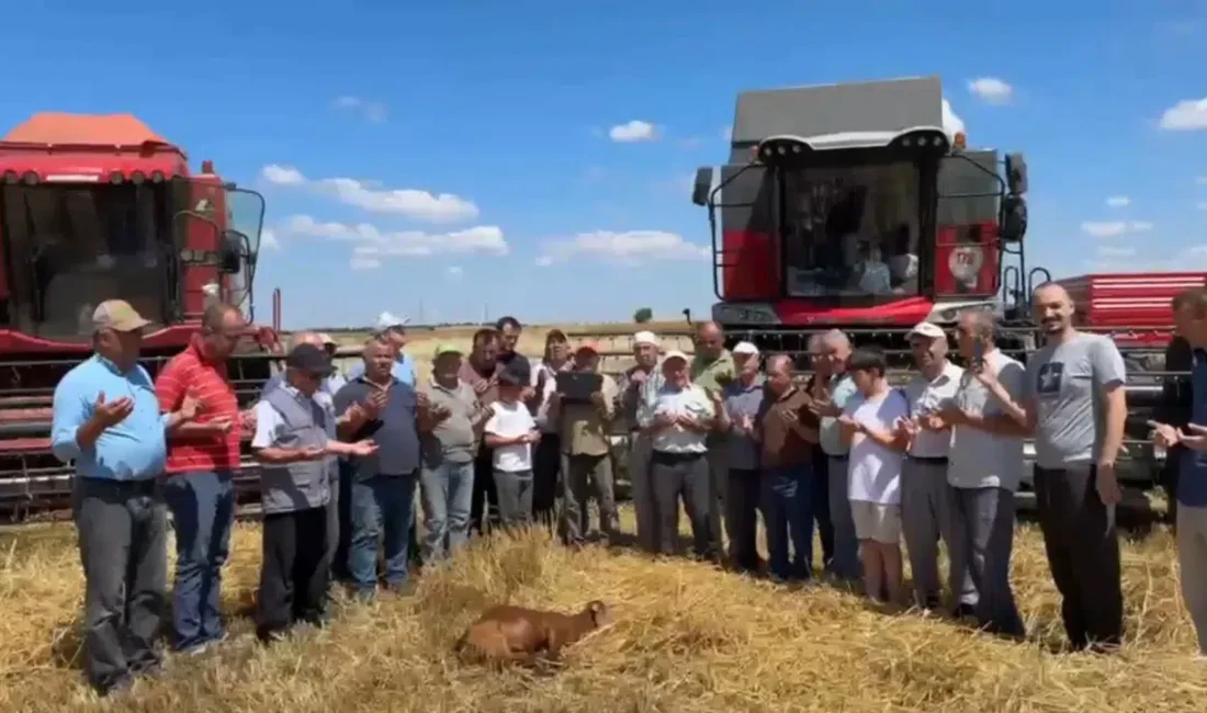Edirne’nin Meriç ilçesinde tarım sezonunun en heyecanlı dönemi nihayet başladı.