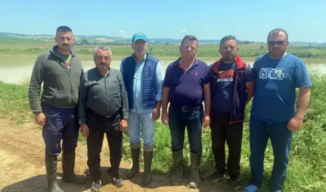 Bursa’nın Yenişehir ilçesinde aniden bastıran şiddetli sağanak ve dolu yağışı
