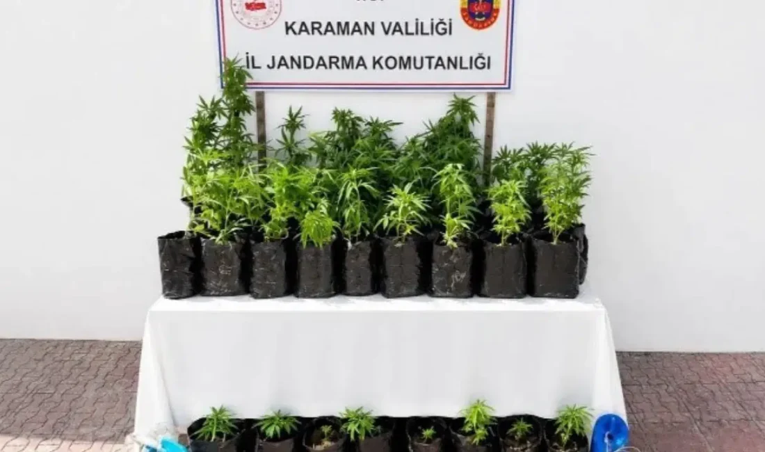 Karaman’da jandarma ekiplerinin kent genelinde gerçekleştirdiği geniş kapsamlı huzur ve