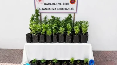 Karaman’da jandarma ekiplerinin kent genelinde gerçekleştirdiği geniş kapsamlı huzur ve