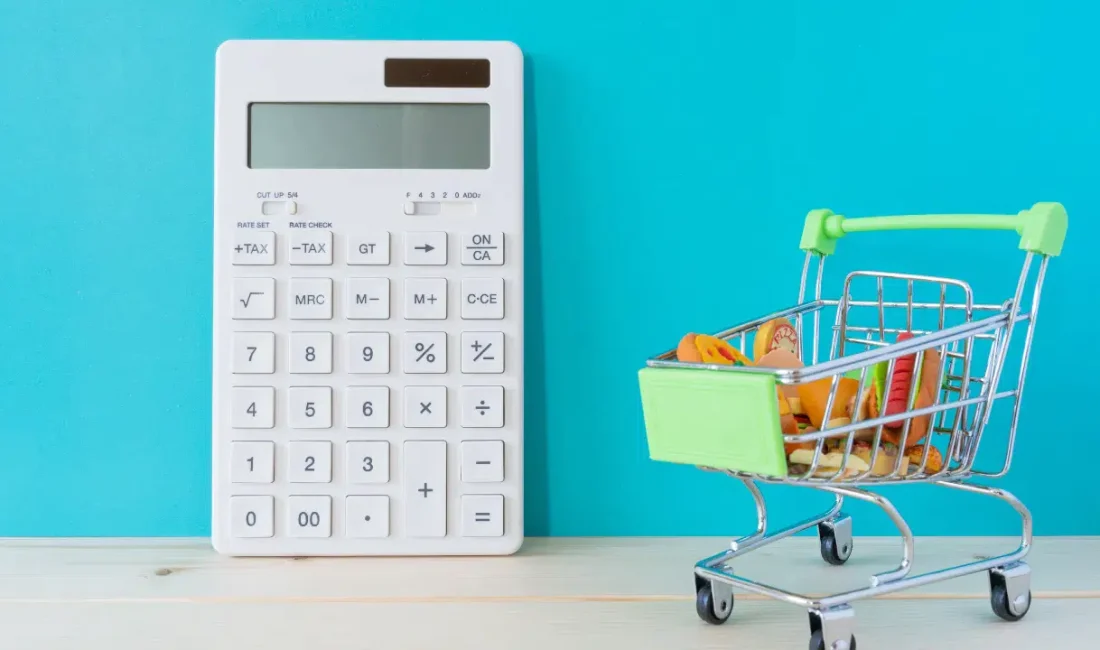 Türkiye İstatistik Kurumu tarafından açıklanan son veriler hanehalkı bütçesindeki acı