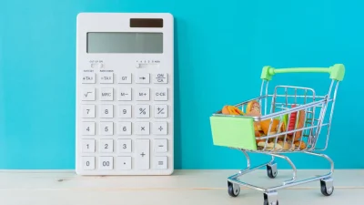Türkiye İstatistik Kurumu (TÜİK) tarafından açıklanan hanehalkı tüketim harcaması verileri,
