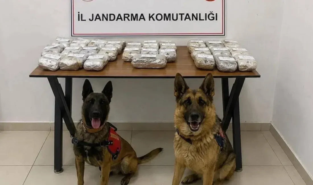 Hakkari’nin Şemdinli ilçesinde jandarma ekiplerinin gerçekleştirdiği titiz takip ve uyuşturucu