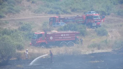 Muğla’nın Marmaris ilçesinde hem ormanlık alanı hem de ekili tarım