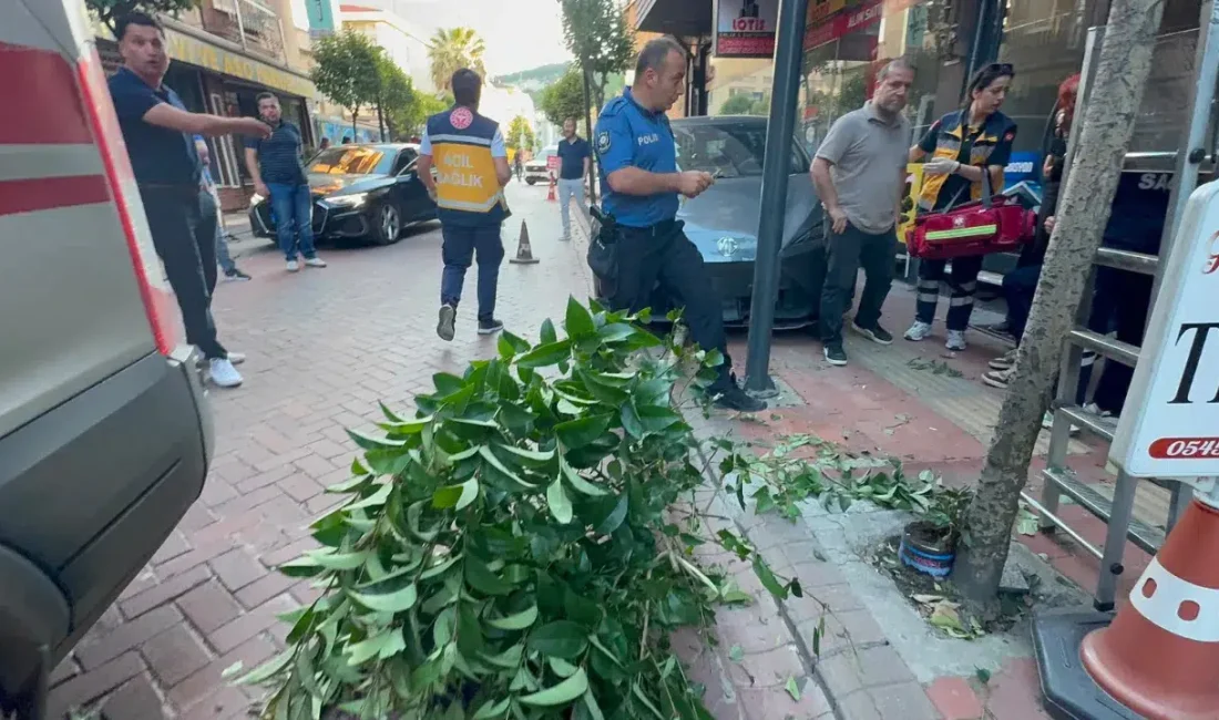 Bartın’ın tarihi ve turistik ilçesi Amasra’da direksiyon başındakileri hayrete düşüren