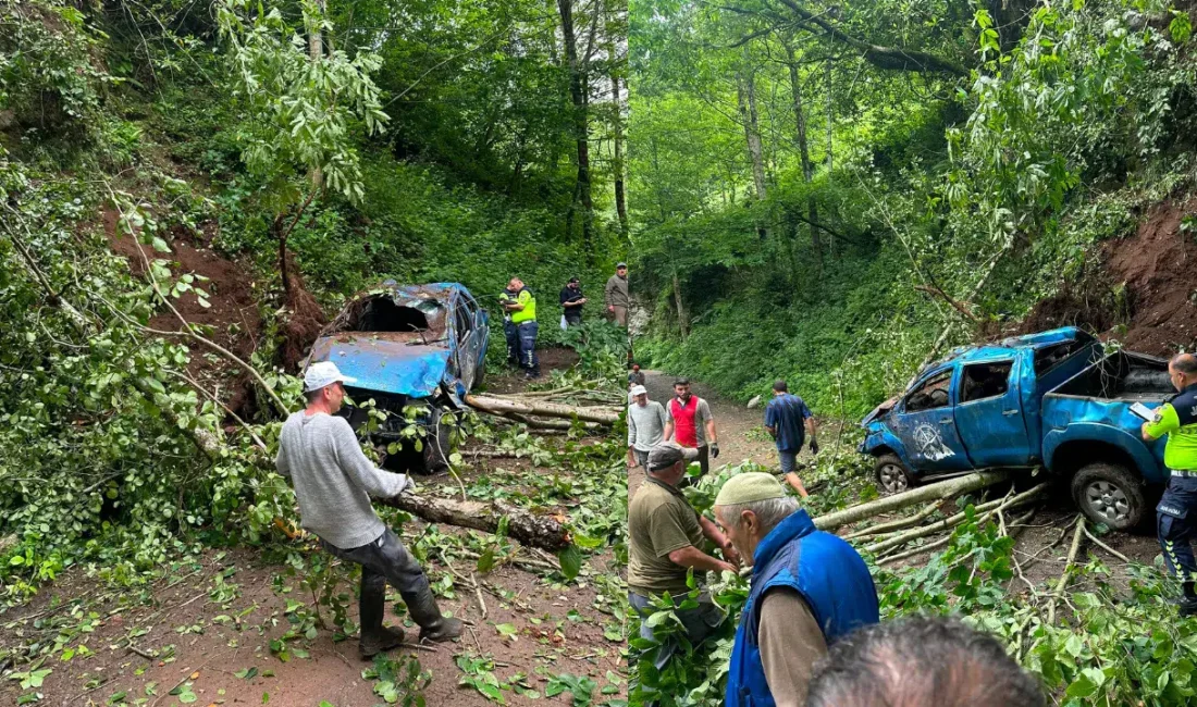 Rize’nin Ardeşen ilçesinde kontrolden çıkan bir kamyonetin metrelerce yükseklikteki uçuruma