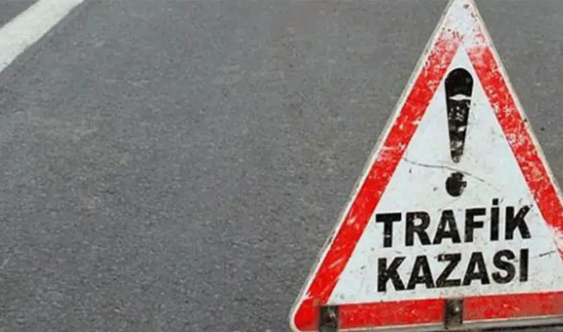 Sakarya’nın Karasu ilçesinde kontrolden çıkan bir otomobilin yol kenarında park