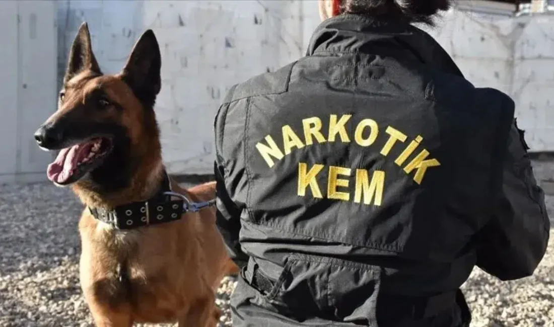 Konya’da narkotik polisinin Karatay ve Selçuklu ilçelerinde gerçekleştirdiği iki büyük