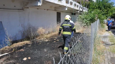 Muğla’nın Menteşe ilçesinde bir otelin hemen arkasındaki otluk alanda aniden