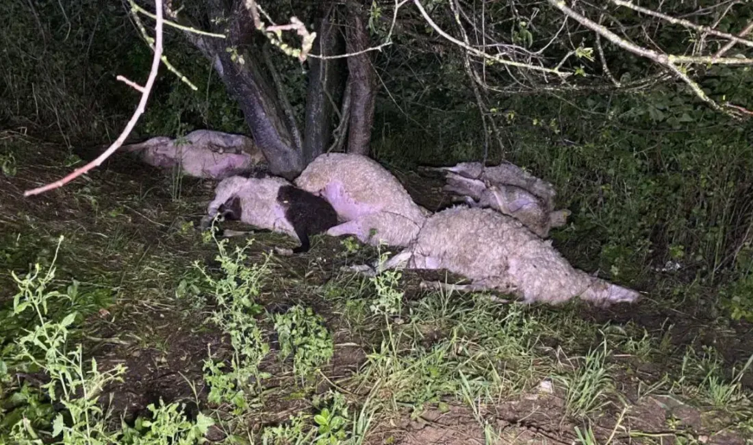 Bursa’nın İnegöl ilçesinde aniden bastıran sağanak yağış, arkasında büyük bir