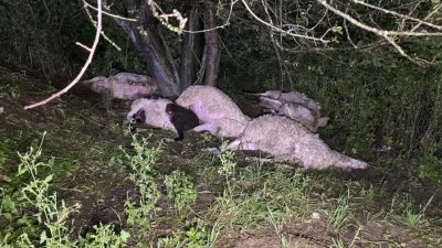 Bursa’nın İnegöl ilçesinde aniden bastıran sağanak yağış, arkasında büyük bir