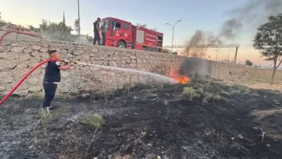 Hatay’ın Kırıkhan ilçesinde yükselen alevler, bölgenin en değerli tarım alanlarından