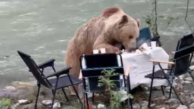 Tunceli’nin göz alıcı doğasıyla bilinen Munzur Vadisi Milli Parkı’nda piknik