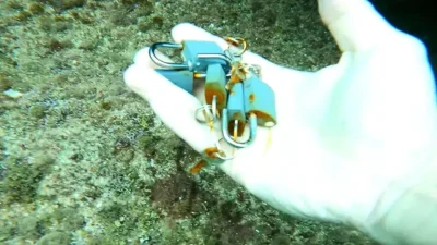 Antalya’da deniz altından çıkardığı büyü malzemelerini sosyal medyada paylaşan dalgıç