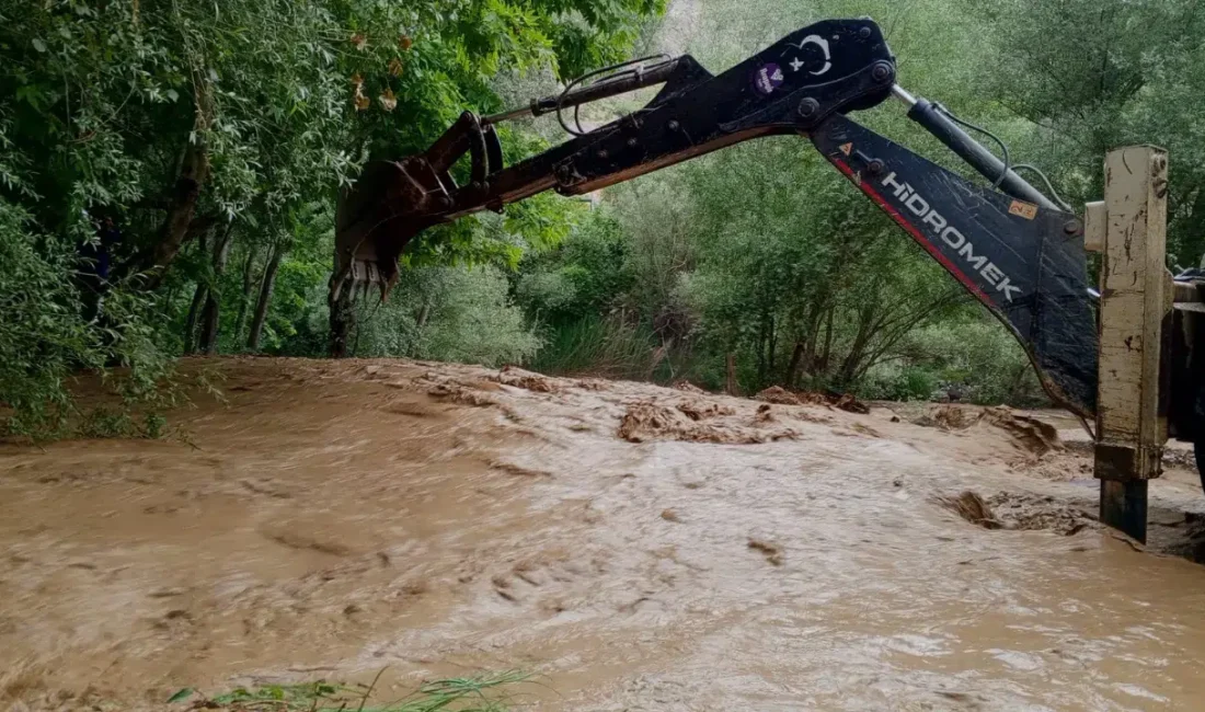 Malatya’nın doğa harikası ilçesi Arapgir’de aniden bastıran sağanak yağış, ünlü