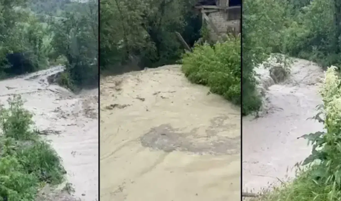 Bolu’nun Mudurnu ilçesinde aniden bastıran ve hayatı adeta felç eden