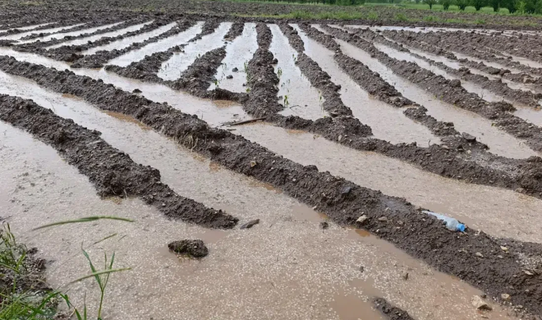 Malatya’da aniden bastıran sağanak ve dolu yağışı hayatı adeta felç