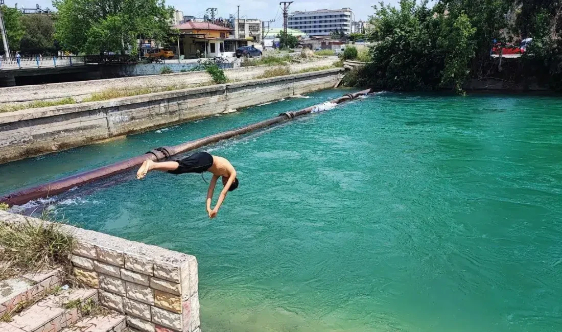 Adana’da kavurucu sıcakların başlamasıyla birlikte sulama kanalları adeta birer ölüm