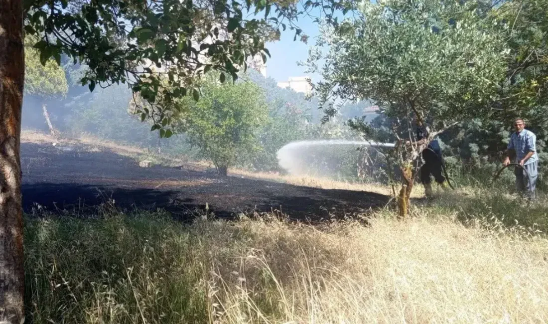 Hatay’ın Reyhanlı ilçesinde zeytinlik alanda yükselen alevler bölgede büyük hareketliliğe