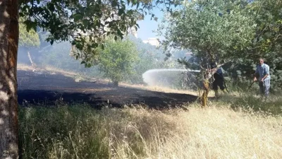 Hatay’ın Reyhanlı ilçesinde zeytinlik alanda yükselen alevler bölgede büyük hareketliliğe