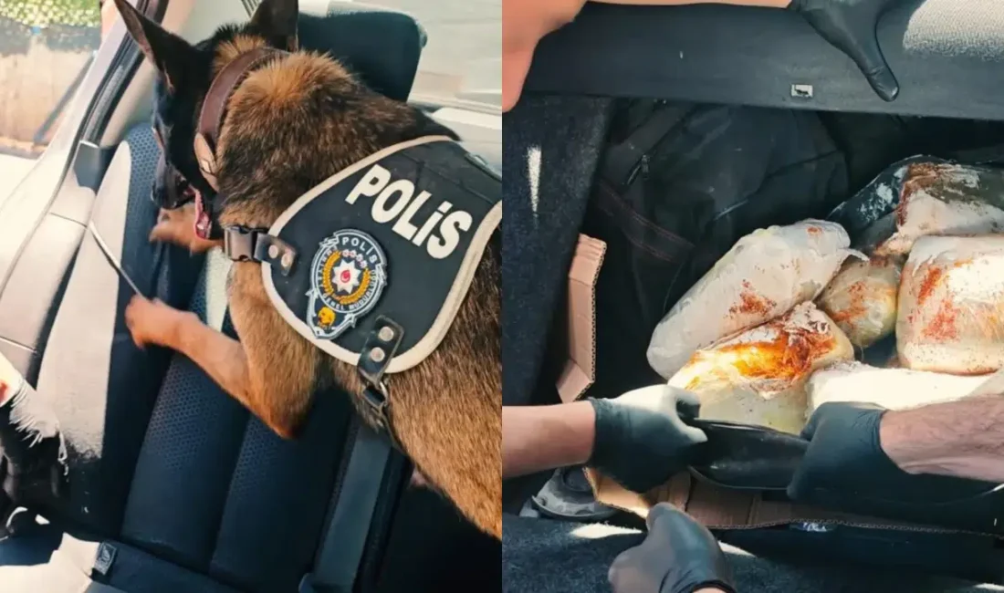 Muş’ta zehir tacirlerine yönelik gerçekleştirilen nefes kesen operasyonda, durdurulan bir