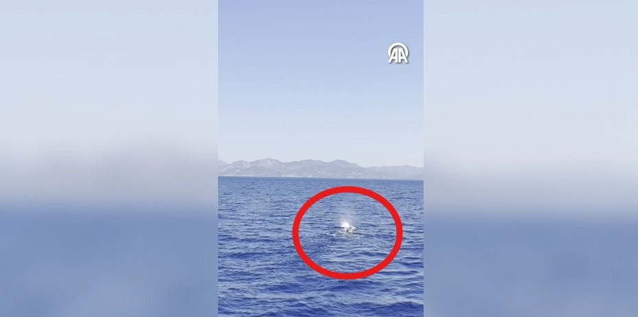Muğla’nın dünyaca ünlü turizm merkezi Fethiye’de deniz yüzeyinde beliren gizemli