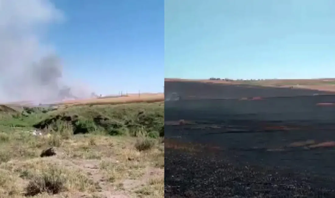Diyarbakır’ın Silvan ilçesinde hasat sezonunun en acı olaylarından biri yaşandı