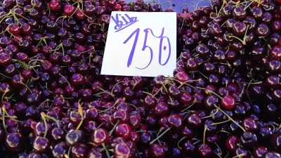 Tekirdağ’da sezon başında kilosu 250 TL ve üzerini görerek cep