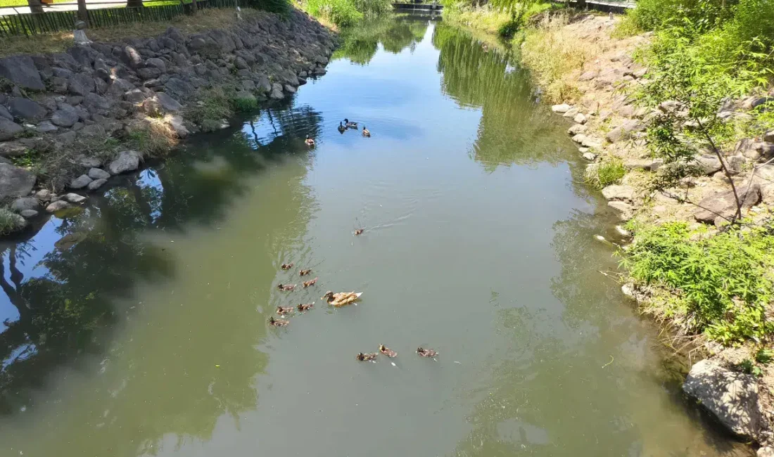 Manisa’nın en gözde sosyal alanlarından biri olan Kent Park, bugünlerde