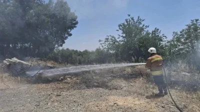 Hatay’ın Hassa ilçesinde aniden yükselen alevler çevrede büyük paniğe neden