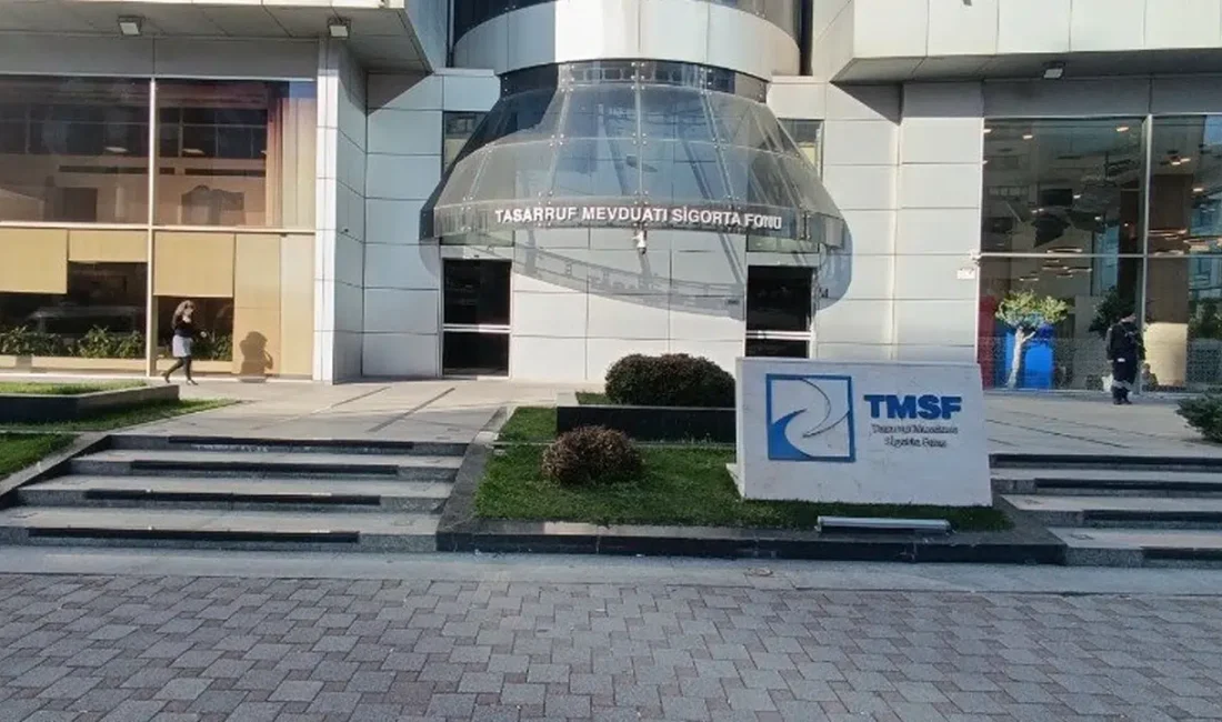 Tasarruf Mevduatı Sigorta Fonu (TMSF), medya dünyasında geniş yankı uyandıran