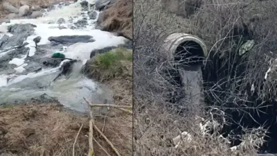 Bolu’nun Gerede ilçesinde çevre felaketine yol açan ve akarsuları kirleten
