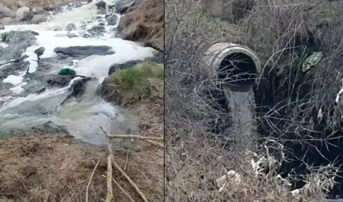 Bolu’nun Gerede ilçesinde çevre felaketine yol açan ve akarsuları kirleten