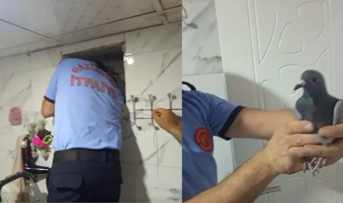 Gaziantep’in İslahiye ilçesinde bir apartmanın havalandırma boşluğundan gelen sesler üzerine