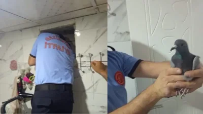 Gaziantep’in İslahiye ilçesinde bir apartmanın havalandırma boşluğundan gelen sesler üzerine