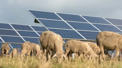 Avustralya’da hayata geçirilen devrim niteliğindeki yeni bir proje, tarım ve